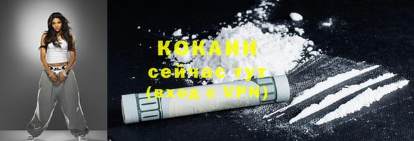 гашик Верея