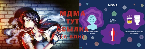 гашик Верея
