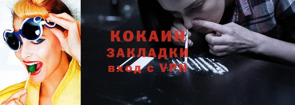 гашик Верея