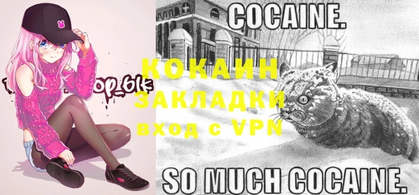 гашик Верея