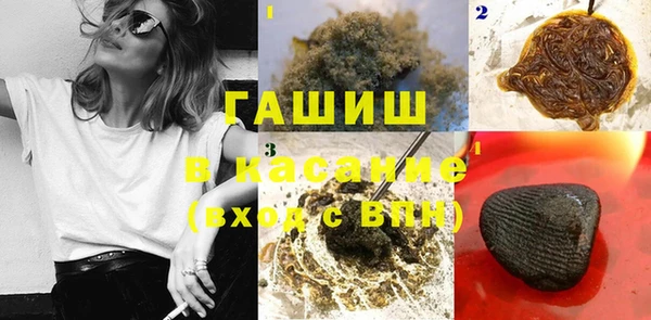 гашик Верея