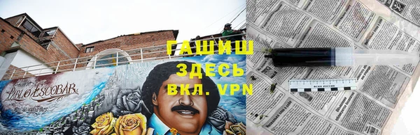 гашик Верея