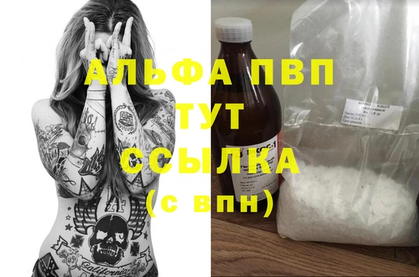 гашик Верея